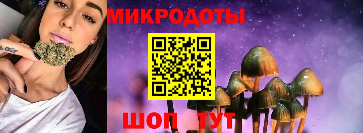 Славгород  Псилоцибиновые грибы ЛСД  Вход с VPN 